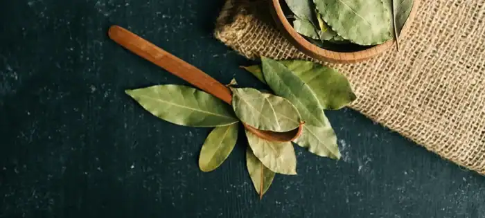 Limeblad 10g – tørrede kaffir-limeblade i pose